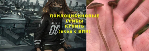 винт Арсеньев