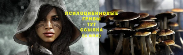 винт Арсеньев