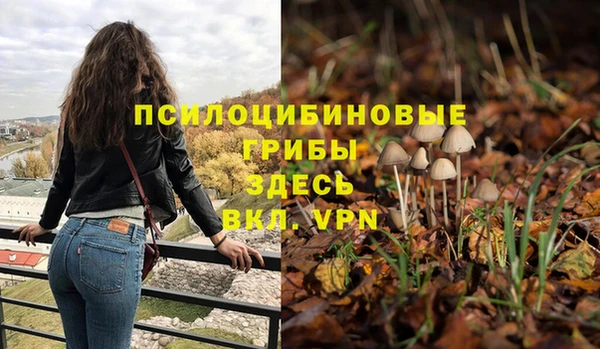 винт Арсеньев
